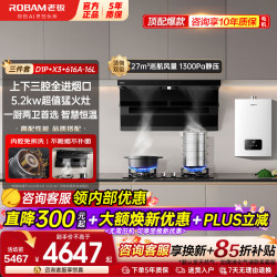 老板 小黑翼D1P+X3顶侧双吸抽油 D1P烟灶套装+16L热水器616A