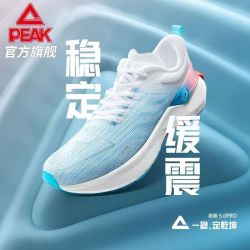 匹克 态极5.0PRO跑鞋新款竞速减震耐磨运动鞋专业网面透气跑步鞋男