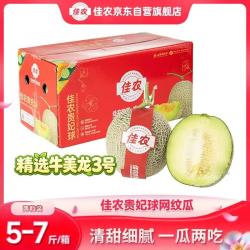 佳农 网纹蜜瓜 2粒装净重5-7斤