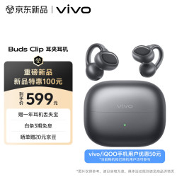 vivo Buds Clip 耳夹式蓝牙耳机 星夜黑