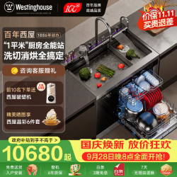 西屋电气 西屋集成水槽洗碗机超声波果蔬清洗家用双层上下分层洗嵌入式碗柜14套洗碗机一体机 JCX-S9L