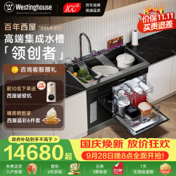 西屋电气 西屋集成水槽洗碗机超声波果蔬清洗家用双层上下分层洗嵌入式碗柜14套洗碗机一体机 JCX-S9L