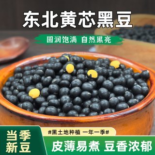 鲜农子 东北绿芯黑豆农家自种新货高蛋白青仁黑豆绿心打豆浆五谷杂粮乌豆