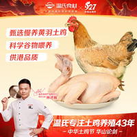 温氏 供港三黄鸡 1kg
