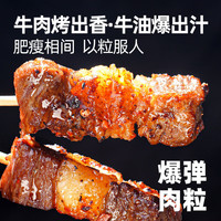 大希地 安格斯牛肉串120g 披萨+火腿肠+蛋挞肉串等任选