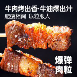 大希地 安格斯牛肉串120g 披萨+火腿肠+蛋挞肉串等任选