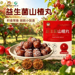 上医时珍 李时珍益生菌山楂丸健开胃无蔗糖儿童零食小时候吃的老式大山楂球
