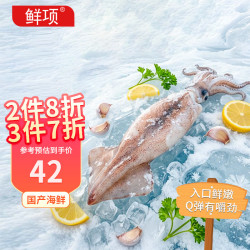 鲜项 鲜冻大鱿鱼2-4条净重1.2-1.3斤