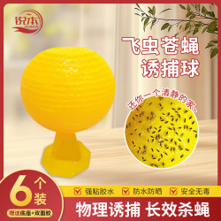 锐本 果蝇诱捕器6个装室内外家用粘虫球灭苍蝇小飞虫杀蝇杀虫神器
