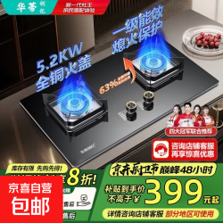 华蒂创亿燃气灶灶具5.2kW猛