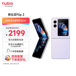 努比亚 Flip 2 5G折叠屏手机 8GB+256GB 冰晶紫