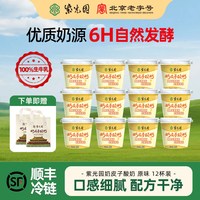 紫光园 奶皮子原味酸奶12杯团购家庭分享装