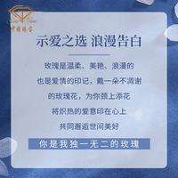 中国珠宝 足银玫瑰花项链 品牌礼盒
