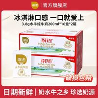 百菲酪 早餐奶 水牛奶  32盒装