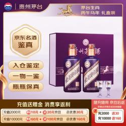 茅台 丙午马年生肖酒 53度 500ml*2瓶 酱香型白酒 礼盒装