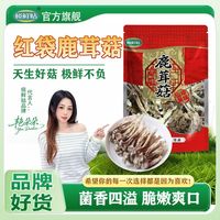 极鲜姑 鹿茸菌500g新货鹿茸菇无硫新香菇干货福建特产批发煲汤食材
