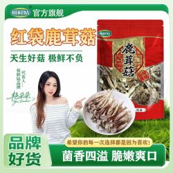 极鲜姑 鹿茸菌500g新货鹿茸菇无硫新香菇干货福建特产批发煲汤食材