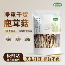极鲜姑 净重鹿茸菇500g干货整根鹿茸菌菇火锅食材鹿耳菇煲汤批发