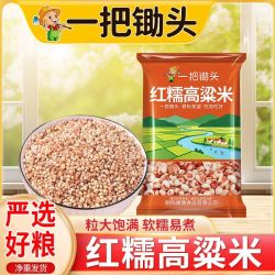 一把锄头5斤红糯高粱米净重正宗东北黑山农家纯6a红高粱米壳500g