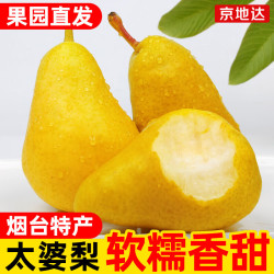 京地达 烟台太婆梨软梨净重4.5斤大果130g+新鲜香蕉大头梨 源头直发包邮