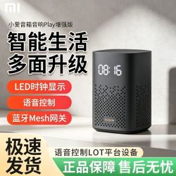 小米 小爱音箱 play 增强版，带红外版本