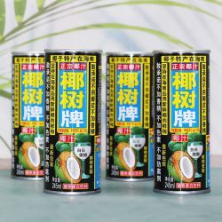 椰树 椰子汁 245ml*整箱 海南特产
