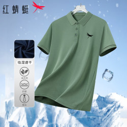 红蜻蜓 短袖T恤男POLO衫半袖翻领上衣夏季冰丝商务保罗衫 绿色 L