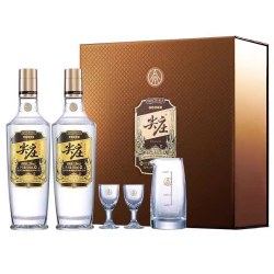 五粮浓香 尖庄 高光 52度浓香型白酒 500mL*2瓶 蛇年新春礼盒