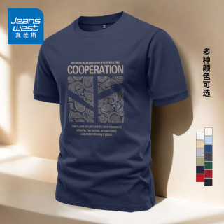 真维斯 男士短袖t恤衫2026新款夏季复古纯棉宽松休闲大码潮流半袖上衣男 藏青 分支 XL