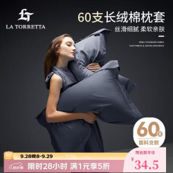 LA TORRETTA 枕套一对 60支轻奢高支100%纯棉长绒全棉枕芯枕头套 蓝杏48x74cm