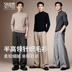 圣得西 男士半高领套头纯色毛衣男2026秋冬新款百搭打底针织衫上衣