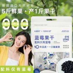 怡颗果 悠果乐园蓝莓干250g