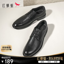 红蜻蜓 夏季商务正装系带皮鞋男士镂空皮凉鞋打孔透气 WTA73761L黑色41 黑色（镂空）
