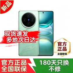 vivo X100s 5G手机 12GB+512GB 青云