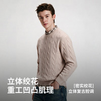 纳维凯尔 绞花针织弹力圆领毛衣 燕麦咖 XL