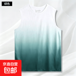 夏季冰丝速干无袖背心男运动健身篮球训练跑步背心夏季速干衣 绿色 2XL 