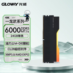 光威 龙武 DDR5 6000 24GB CL28 海力士M-die RGB灯条 星空黑