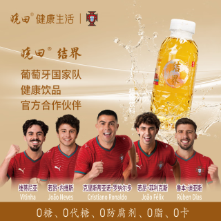 今日必买、值友专享:晓田 结界 姜黄黄芪水 500ml*15瓶 养生水0代糖0防腐剂0咖啡因
