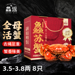 鱻谣 大闸蟹鲜活螃蟹 公4.0-4.3两 母3.0-3.3两 4对8只 去绳足重 生鲜蟹类礼盒
