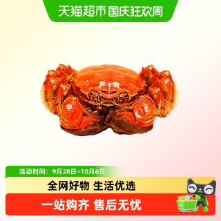 88VIP、今日必买:阳澄格调精品 全母蟹 2.8-3.1两 共8只礼盒装