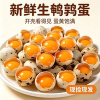 奇香嘉 农家散养生鲜鹌鹑蛋 50只 正宗农家散养卤味炒菜火锅红烧无激素煲汤