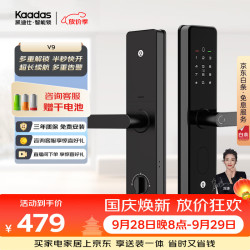 凯迪仕 V9 指纹密码智能锁 标准锁体版
