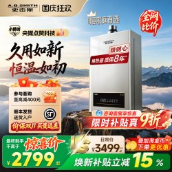 史密斯 A.O.史密斯 TMA系列 燃气热水器