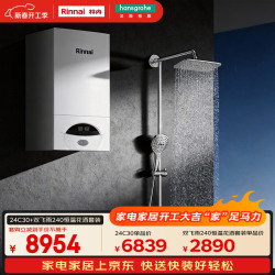 林内 套装）林内RBS-24C30壁挂炉+汉斯格雅双飞雨花洒套装