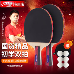 红双喜 乒乓球拍2只装双拍套装初学者二星儿童学生专业级兵乓横拍直拍 初学新款