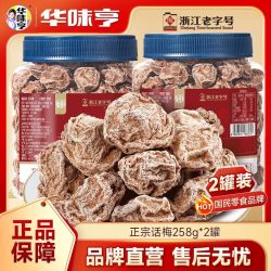 华味亨 正宗话梅258g*2罐 酸甜九制话梅梅子杭州特产酸甜蜜饯零食