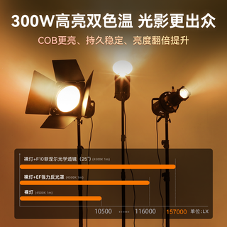 金贝 EF300X 300W大功率双色温补光灯 单灯标配
