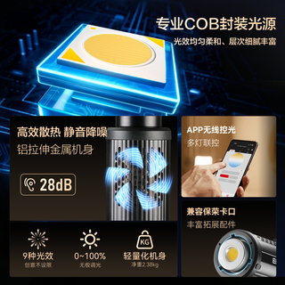 金贝 EF300X 300W大功率双色温补光灯 单灯标配