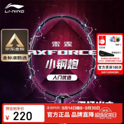 李宁 羽毛球拍雷霆小钢炮穿线单拍进攻型入门拍5U穿线AYPT307 黑色 5U  穿线