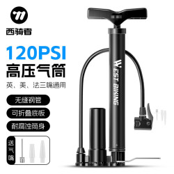 West Biking WestBiking）自行车打气筒家用充气筒通用高压高压泵打气筒 黑色带泵